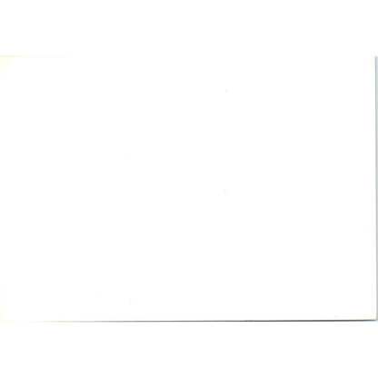 c1970 Original Photograph Man With Wild Sea Lion 5x7 AD6