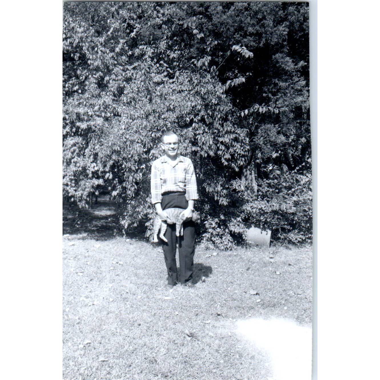 1956 Original Photo Virginia Warren Dean Black Unusual Pose With Cat 3x4 TJ9-PG7