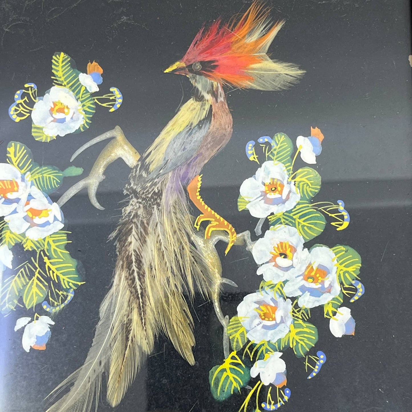 Bird of Paradise Glenn Bastian Mexican Feather Art Bird Feathercraft 8x10 TF6