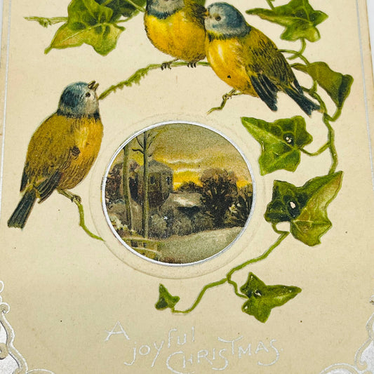 1910s Christmas Post Card Embossed Birds Leaves Silver Snow Church PA4