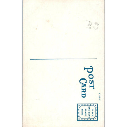 Alaskan Husky Portrait Original Postcard TK1-30