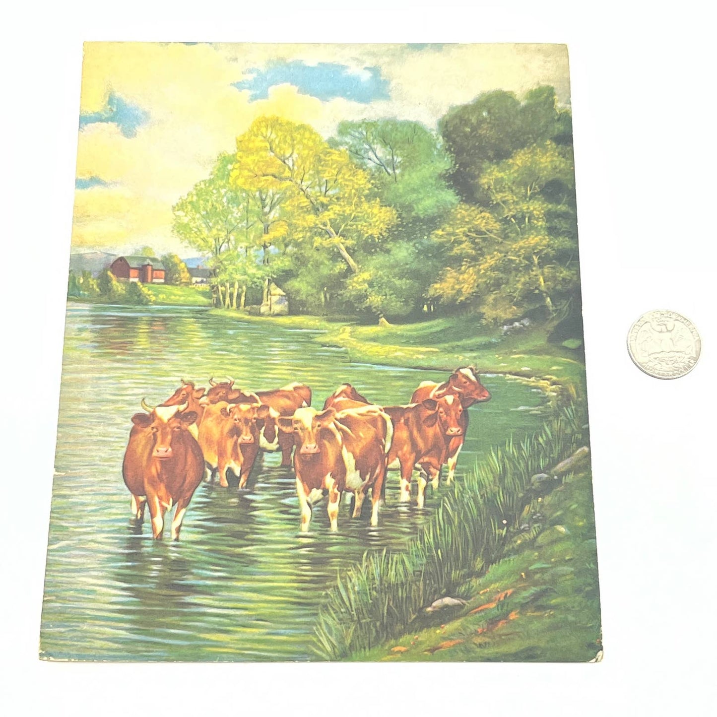 Vintage Cow Herd Country Lithograph Print 6 1/2 x 8 1/4" AB7