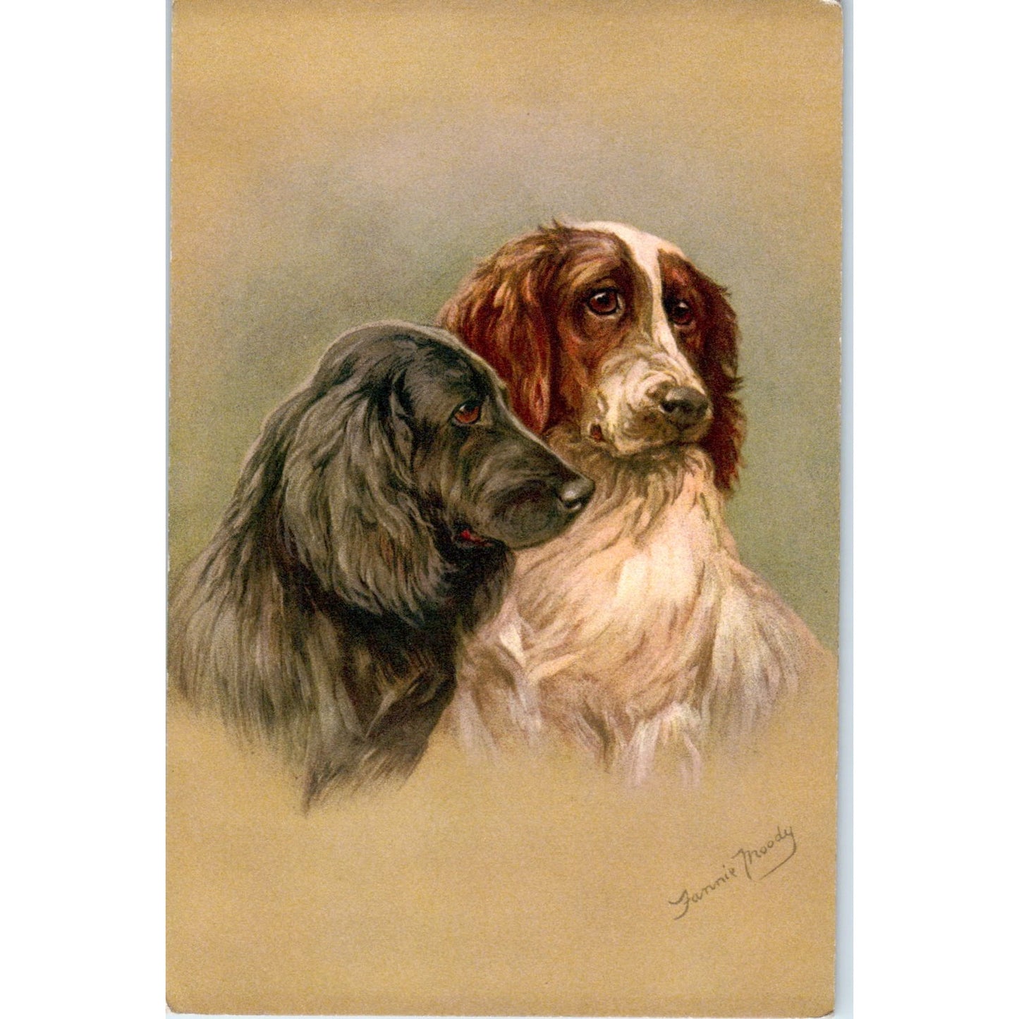 Fannie Moody Hunting Dog Caccia Cocker Spaniel Original Postcard P1-12