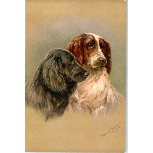 Fannie Moody Hunting Dog Caccia Cocker Spaniel Original Postcard P1-12