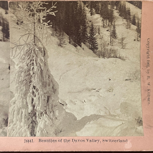 Beauties of the Davos Valley Switzerland Antique Stereoview Card H2-5