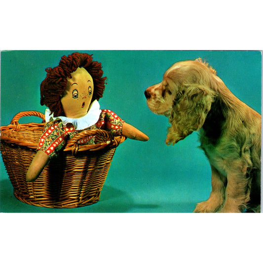 Raggedy Ann Doll With Cocker Spaniel Puppy Dog Original Postcard PB6