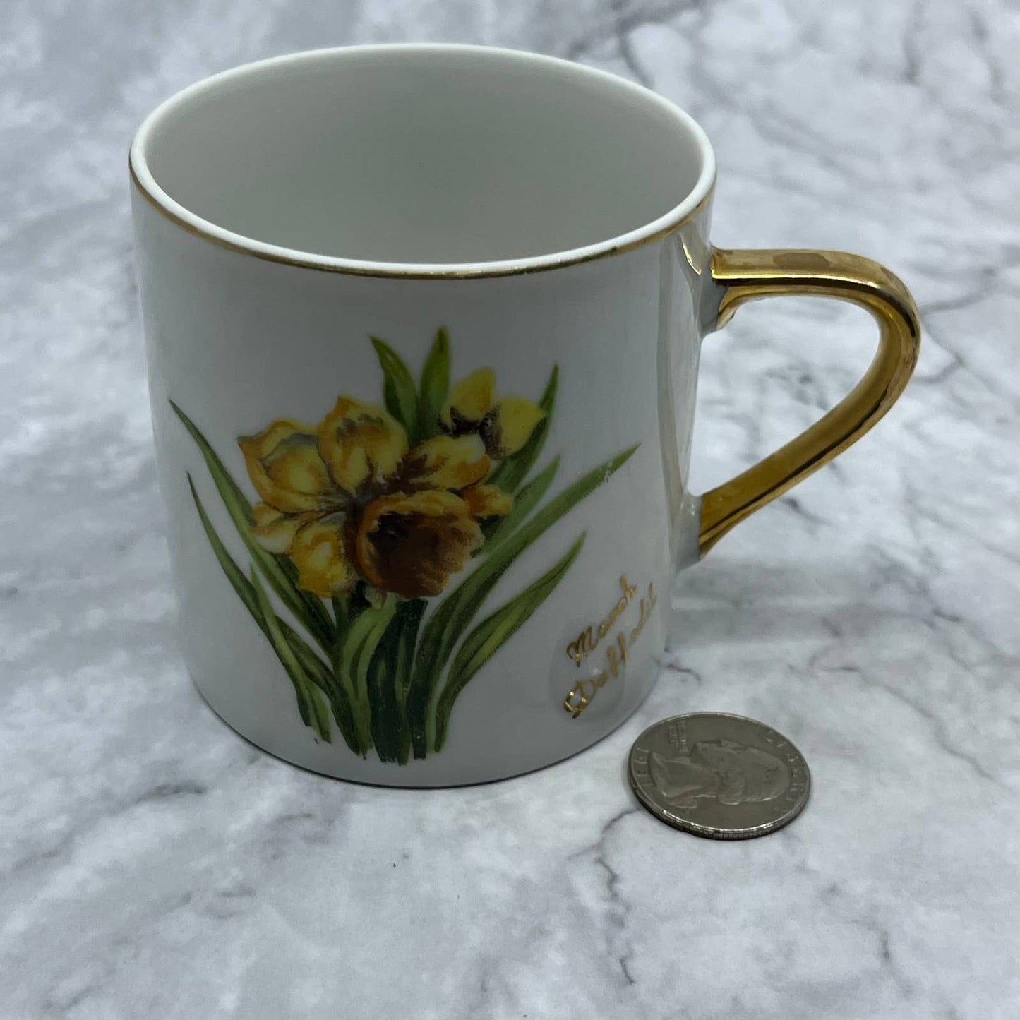 Vintage Fine China Tea Cup Norcrest March Daffodil TD6-3