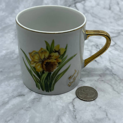 Vintage Fine China Tea Cup Norcrest March Daffodil TD6-3