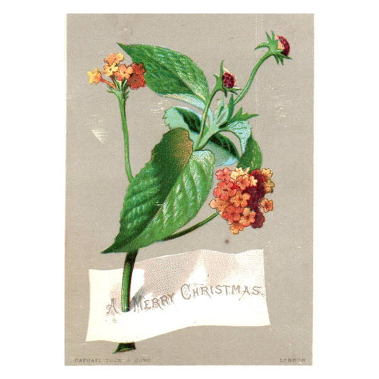 Raphael Tuck - Merry Christmas - 1880s Victorian Card TJ8-3