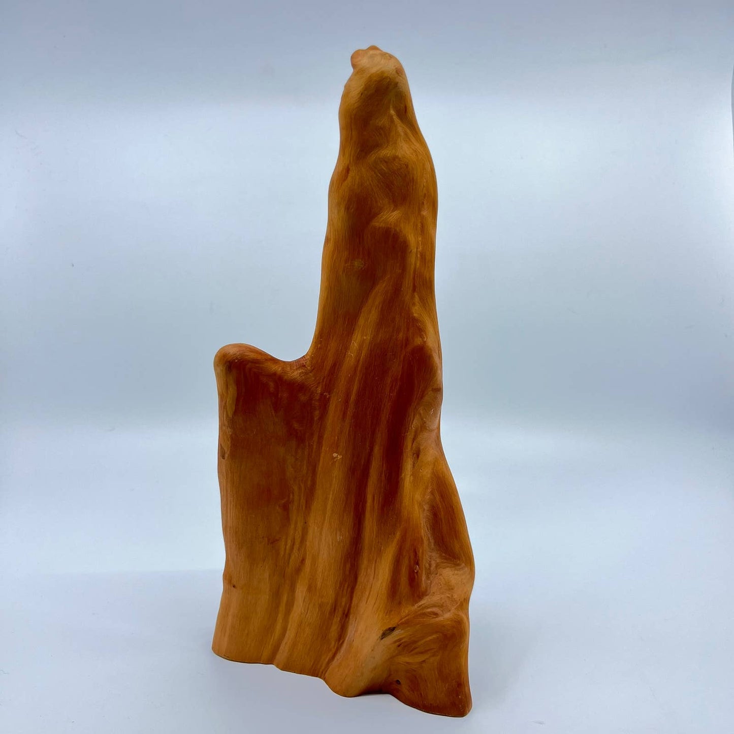 Vintage Large Driftwood Sculptural Piece 5x11” TE5