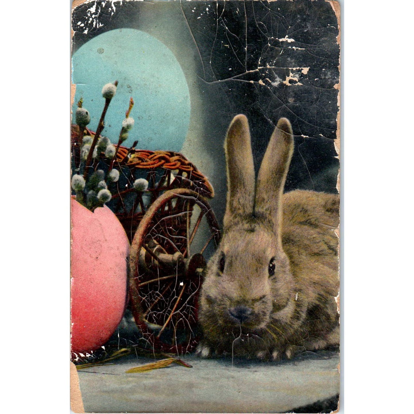 c1910 Postcard Easter Bunny Color Photograph Germany EA3