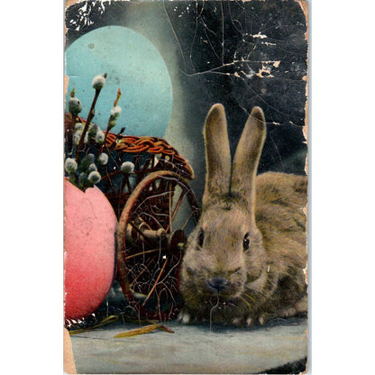 c1910 Postcard Easter Bunny Color Photograph Germany EA3