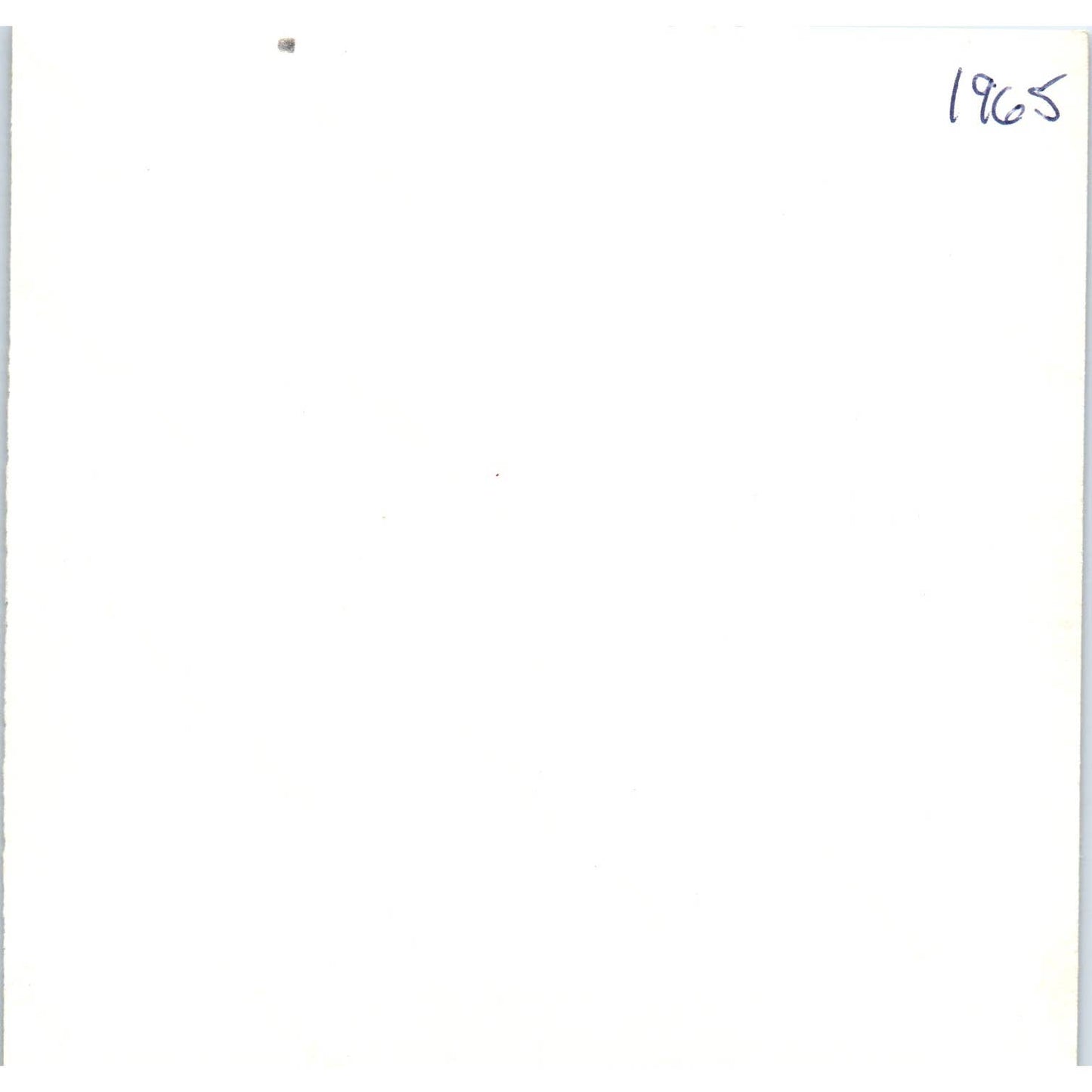 1965 Photograph Family With Christmas Tree and Presents 5" SE5