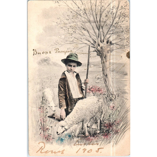 1905 Shepherd Boy Happy Easter Corsican Original Postcard TK1-P13