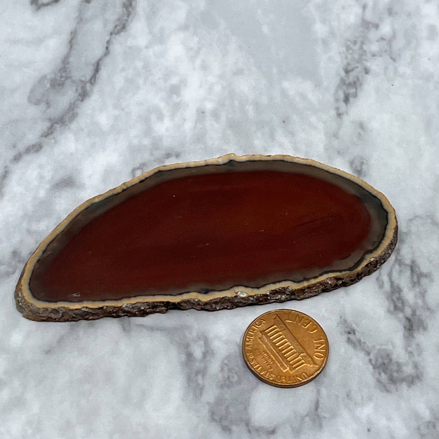 Brown Earth Tone Agate Slice Coaster 3.25x1.5" SA2