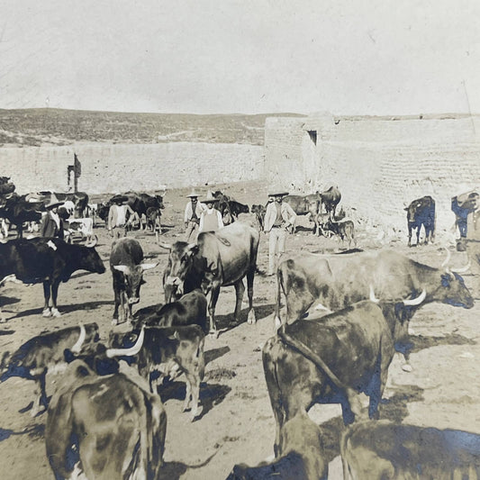 1903 Original Sepia Photograph Ranch of Don José Aguirre Zacatecas Mexico AC7