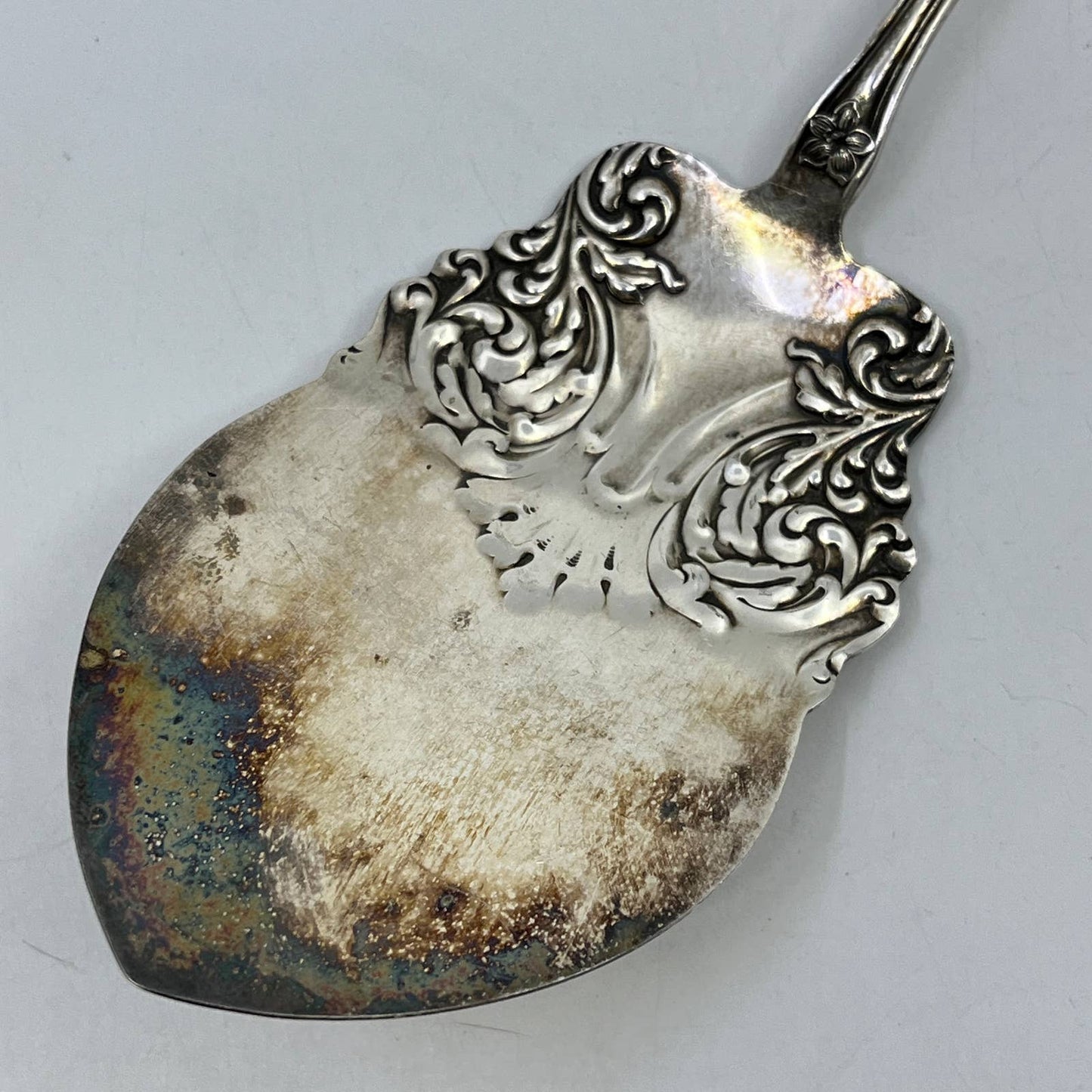 1910 WM Rogers AA Cake Pie Server Orange Blossom Pattern 8.5” SE1