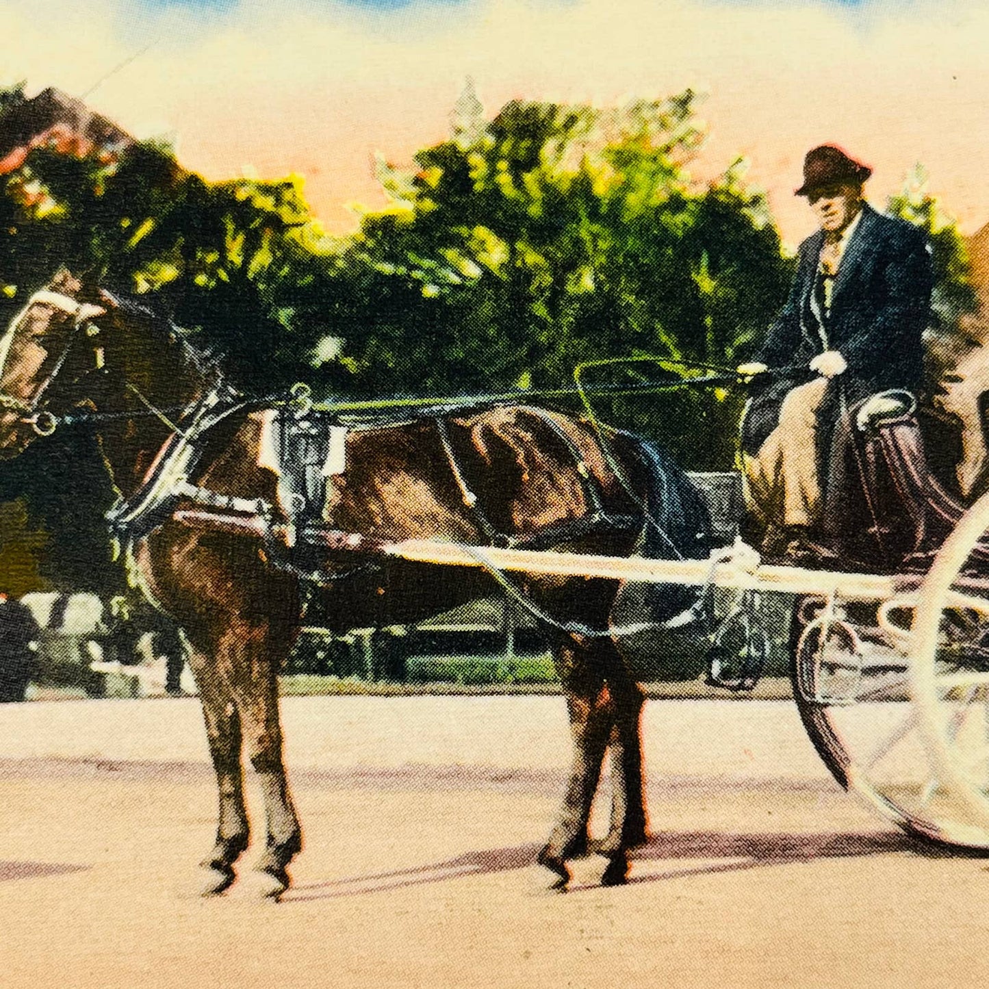 Vintage Postcard Quebec Caleche Horse Buggy Carriage Canada PA8