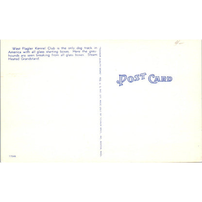 West Flagler Kennel Club Dog Racing Miami Florida Original Postcard TK1-23