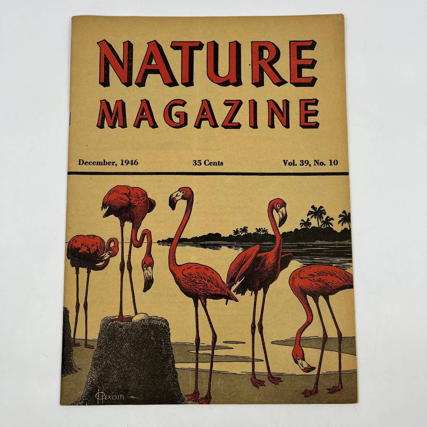 Nature Magazine Dec 1946 - Pink Flamingos Hexom The Coming Era of Sun Power TC1