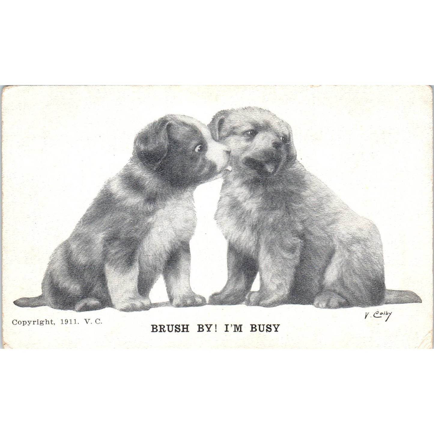 c1910 Comic Postcard V Colby Black And White Dogs Puppies Brush By! I'm Busy EA3