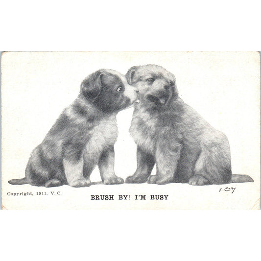 c1910 Comic Postcard V Colby Black And White Dogs Puppies Brush By! I'm Busy EA3