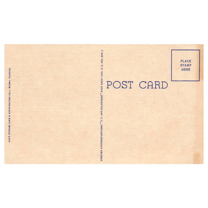 Charter and Sightseeing Boats at Miami's City Yacht Basin - Postcard TJ8-2