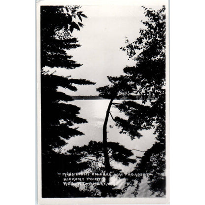Moonlight on Lake Wapogasset Hickory Point Resort Amery WI Postcard TJ9-P3