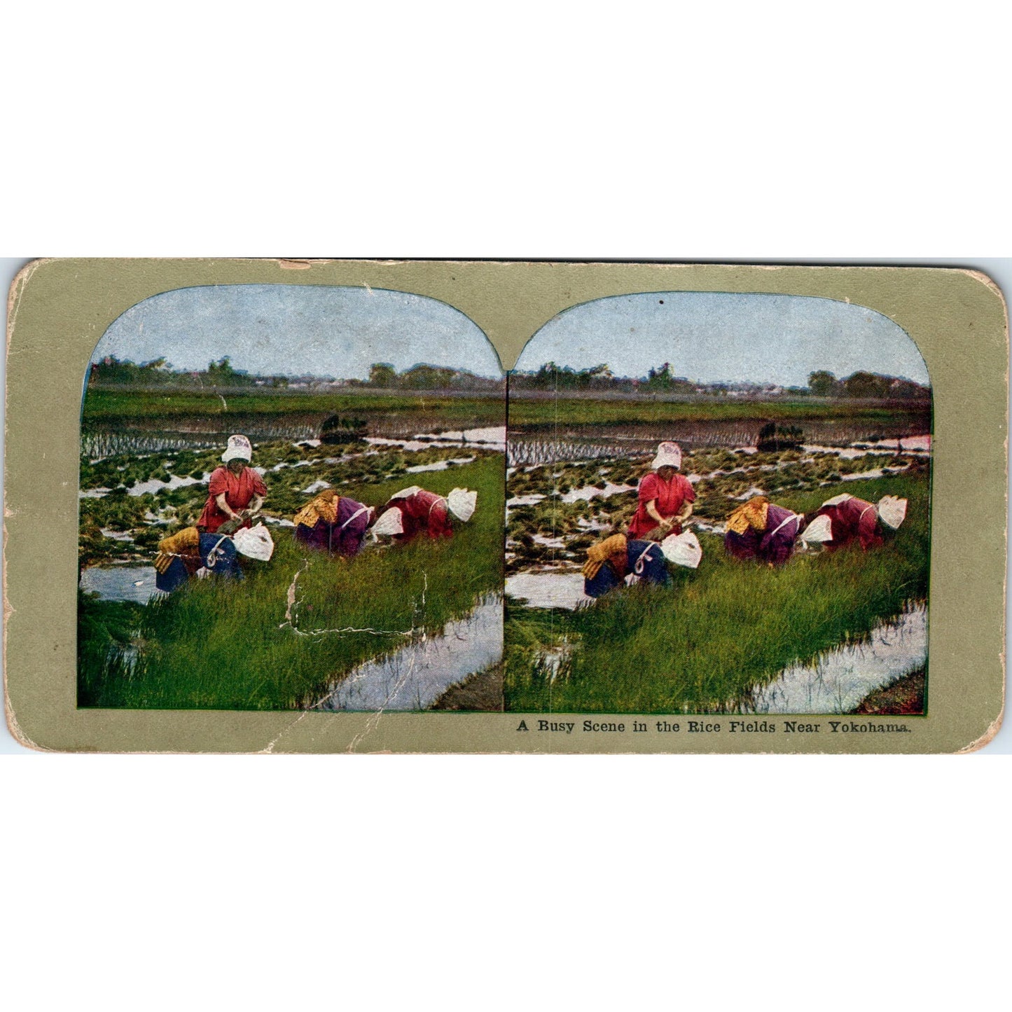 A Busy Scene in the Rice Fields Near Yokohama - Antique Stereoview Card H3-2
