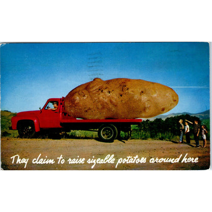 Giant Potato in Truck Humor 1963 Original Postcard PB1