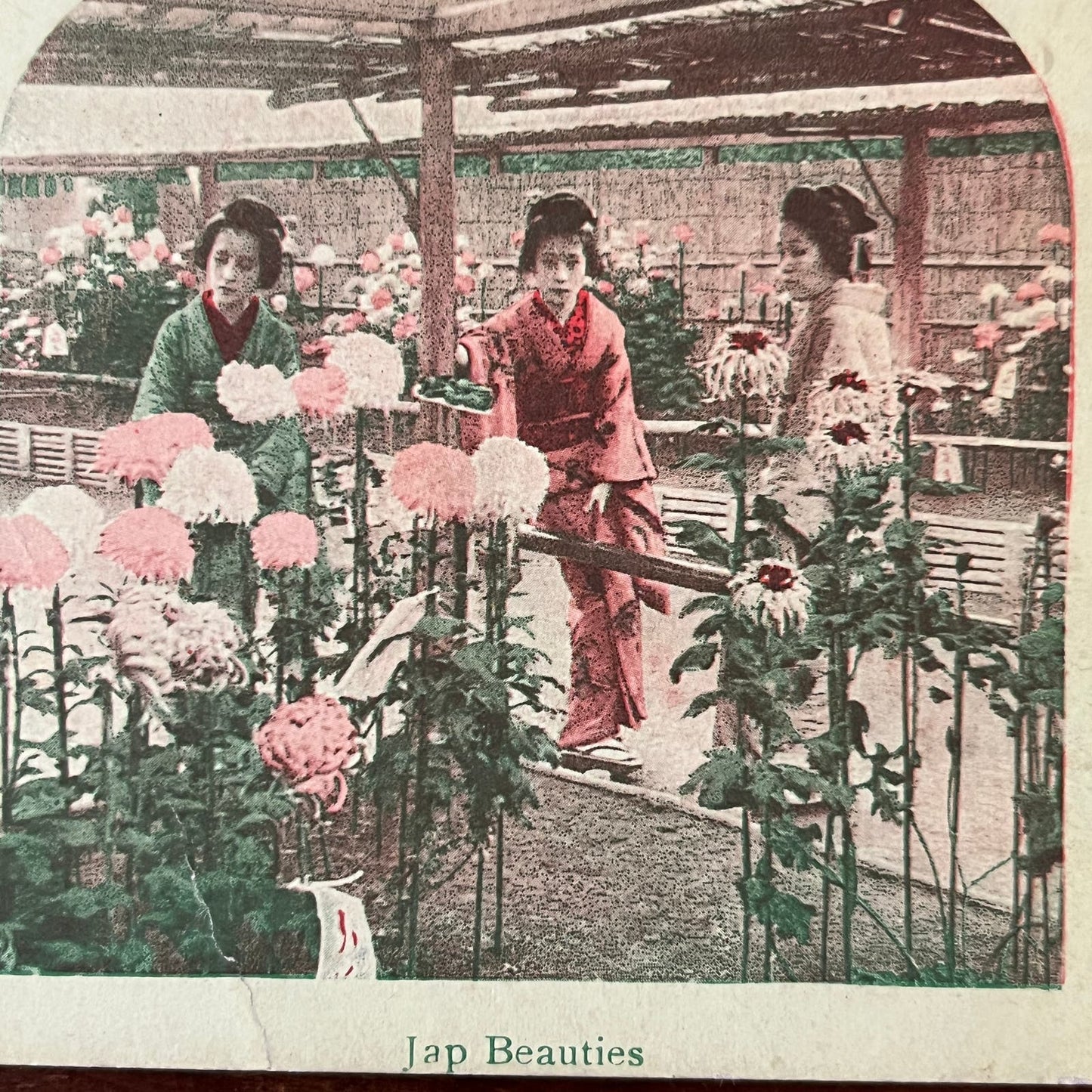 Japanese Women Gardening Tinted Antique Stereoview Card TJ9-V4