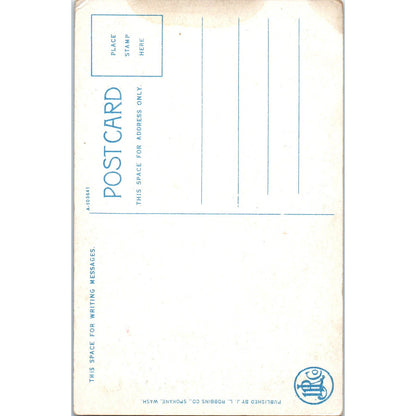 Antique Postcard A Washington Cedar Stump Spokane Washington TD9