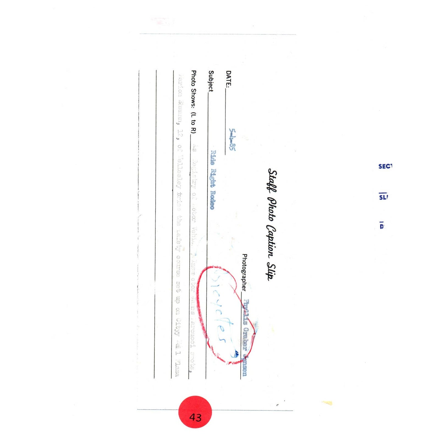 1985 Press Photo Cycling Ride Right Bike Rodeo Wellesley James Marcucci 8x10 AD3