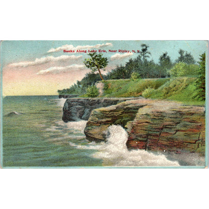 Antique Postcard Scene Banks Along Lake Erie, Ripley NY SF2