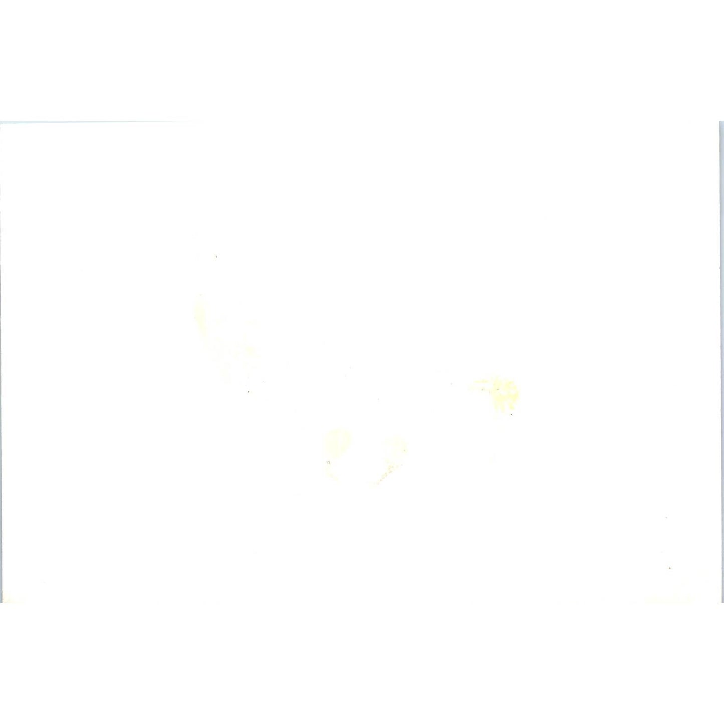 Pres. Ward & Robert Laurie at Ambassador Waller Address 1966 Photo 5x7 TK1-P4