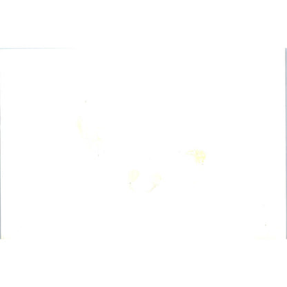 Pres. Ward & Robert Laurie at Ambassador Waller Address 1966 Photo 5x7 TK1-P4