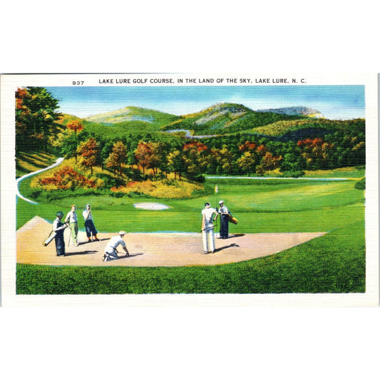 Lake Lure Golf Course Lake Lure North Carolina Original Postcard P2-9