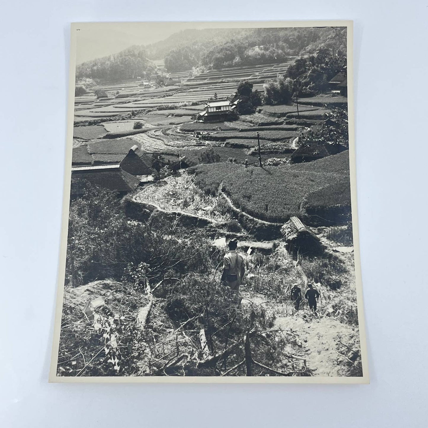 1940s WWII Official US Air Force Photo View of Japanese Farming Village 7x9” AA7