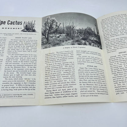 1961 Organ Pipe Cactus Fold Out Brochure National Monument Arizona L4-6