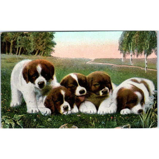 Saint Bernard Puppy Dogs Vintage French Original Postcard TK1-27