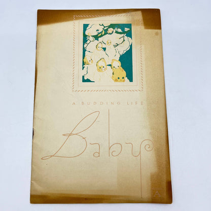 1930s A Budding Life Baby Book BLANK National Life & Accident Ins Nashville TF7