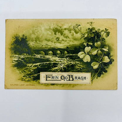 1910s St. Patrick’s Day Erin Go Bragh Salmon Leap Kenmare Embossed Winsch PA3