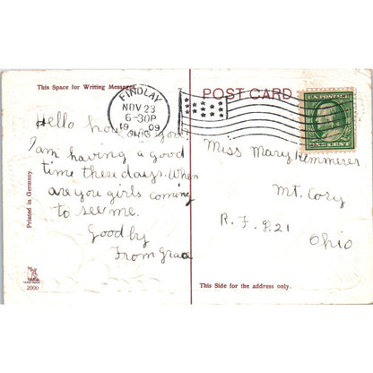 Thanksgiving 1909 Turkey Gilt Original Postcard TK1-22
