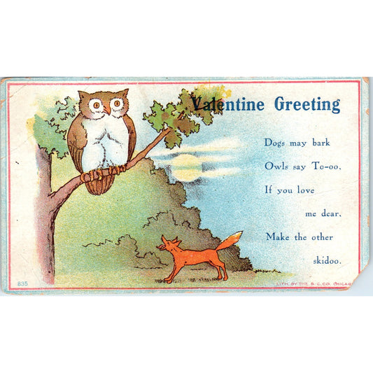Valentine Dog Barking At Owl Bird In The Tree c1905 Original Postcard P3-3