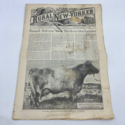 1924 The Rural New Yorker Magazine Milking Shorthorn Society Independence IA FL4