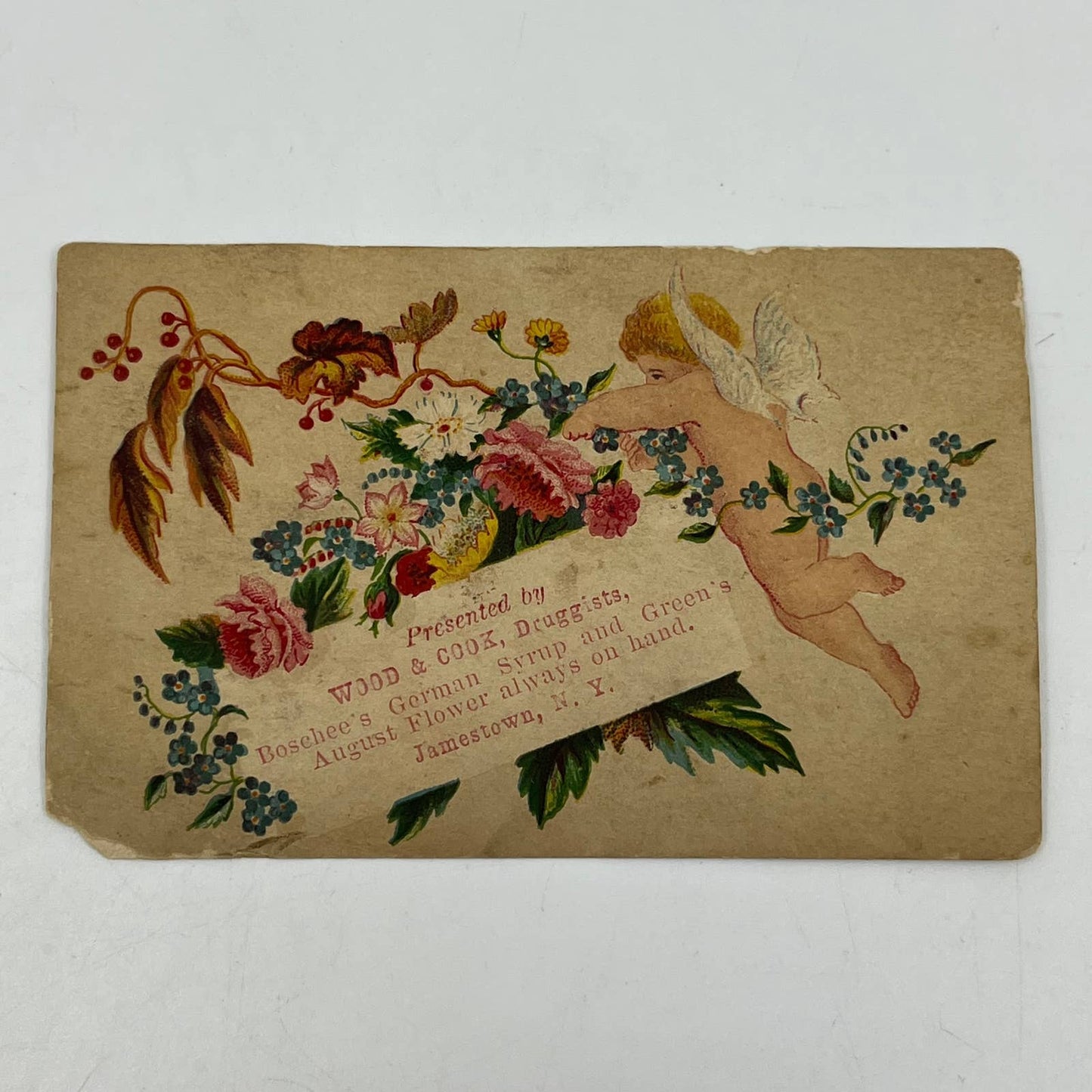 1880s Wood & Cook Boschee’s German Syrup Green’s August Flower Jamestown NY SC5