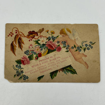 1880s Wood & Cook Boschee’s German Syrup Green’s August Flower Jamestown NY SC5