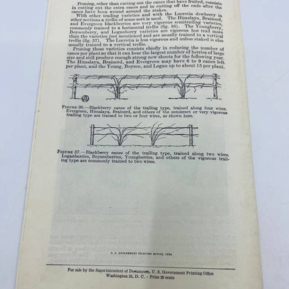 1950s Pruning Hardy Fruit Plants US Department of Agriculture Booklet SB7