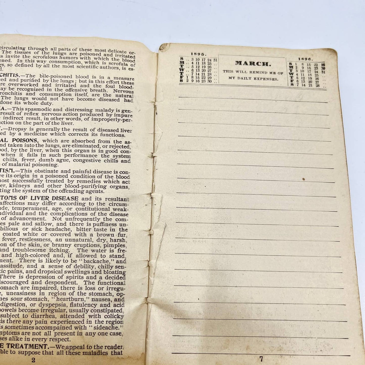 1895 Pierce’s Memorandum & Account Book Quack Medicine Promo Buffalo NY TE1