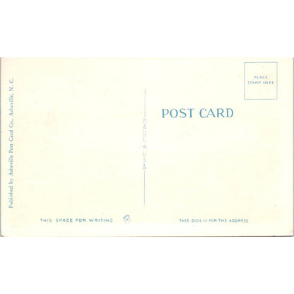 Liberty Heights Swimming Pool Martinsville VA Original Postcard TK1-24